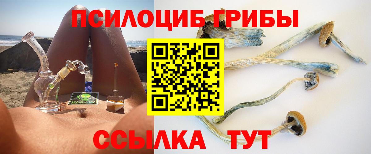 Псилоцибиновые грибы Psilocybine cubensis Красноармейск